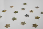 Shell Star Button 11 mm