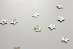 Shell Star Button 20mm